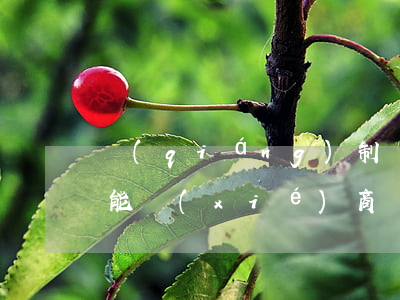 強(qiáng)制執(zhí)行以后還能協(xié)商還款金額嗎-強(qiáng)制執(zhí)行以后還能協(xié)商還款金額嗎怎么辦