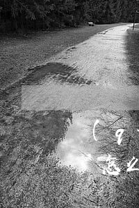 強(qiáng)制執(zhí)行合同糾紛怎么辦