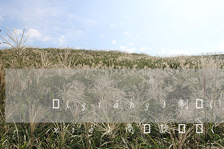 強(qiáng)制執(zhí)行后協(xié)商還款還會(huì)上黑名單嗎-強(qiáng)制執(zhí)行后協(xié)商還款還會(huì)上黑名單嗎知乎