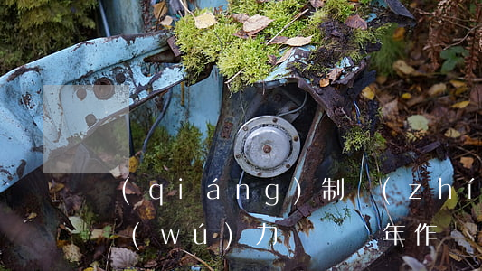 強(qiáng)制執(zhí)行后被告無(wú)力償還幾年作廢