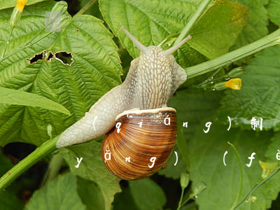 強(qiáng)制執(zhí)行撫養(yǎng)費(fèi)麻煩嗎(強(qiáng)制執(zhí)行撫養(yǎng)費(fèi)麻煩嗎)