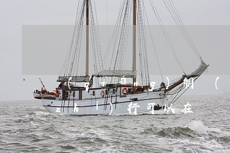 強(qiáng)制執(zhí)行未執(zhí)行可以在訴訟嗎(向法院申請(qǐng)強(qiáng)制執(zhí)行法院不執(zhí)行怎么辦)