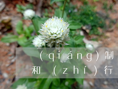 強(qiáng)制執(zhí)行的流程和執(zhí)行時(shí)間(強(qiáng)制執(zhí)行的流程和執(zhí)行時(shí)間多久可以成老賴)