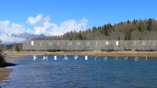 強(qiáng)制執(zhí)行程序(民事判決后申請(qǐng)強(qiáng)制執(zhí)行程序)