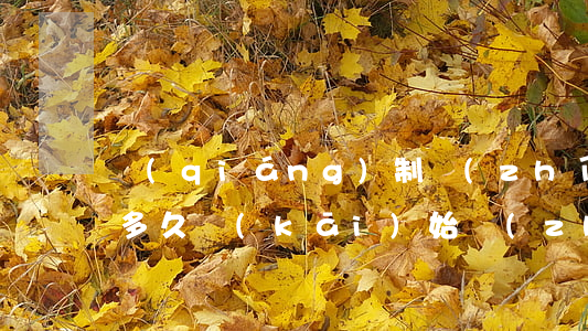 強(qiáng)制執(zhí)行立案后多久開(kāi)始執(zhí)行(強(qiáng)制執(zhí)行立案后多久開(kāi)始執(zhí)行劃款)