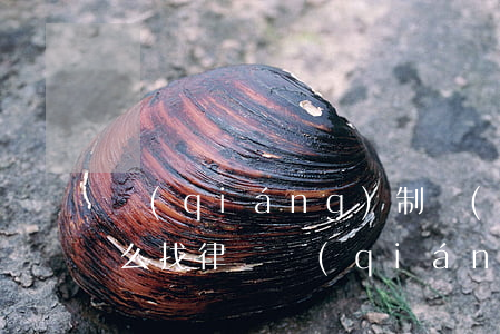 強(qiáng)制執(zhí)行被告怎么找律師(強(qiáng)制執(zhí)行去法院找誰)