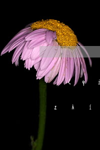 強(qiáng)制執(zhí)行被執(zhí)行人無(wú)力償還債務(wù)怎么辦-強(qiáng)制執(zhí)行還是拿不到錢(qián)該怎么辦