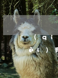 強(qiáng)制執(zhí)行費(fèi)用(強(qiáng)制執(zhí)行費(fèi)用怎么算)