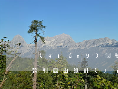 強(qiáng)制執(zhí)行逾期欠款利息由誰計(jì)算-強(qiáng)制執(zhí)行逾期欠款利息由誰計(jì)算的