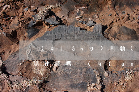 強(qiáng)制執(zhí)行還需要請律師嗎(強(qiáng)制執(zhí)行律師還會(huì)管嗎)