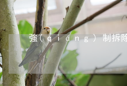 強(qiáng)制拆除院子的程序