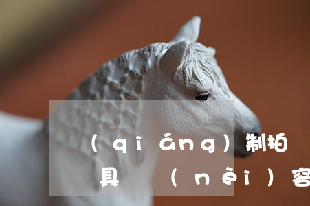 強(qiáng)制拍賣必須重申的五個原則具體內(nèi)容