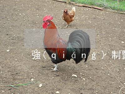 強(qiáng)制醫(yī)療要付錢嗎