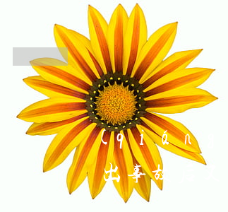 強(qiáng)制險(xiǎn)逾期期間出事故后又補(bǔ)交了-強(qiáng)制保險(xiǎn)逾期交第二年會(huì)交多少