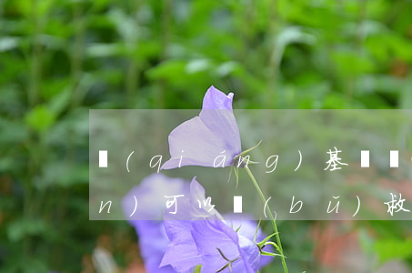 強(qiáng)基計劃逾期未確認(rèn)可以補(bǔ)救嗎-強(qiáng)基計劃逾期未確認(rèn)可以補(bǔ)救嗎知乎