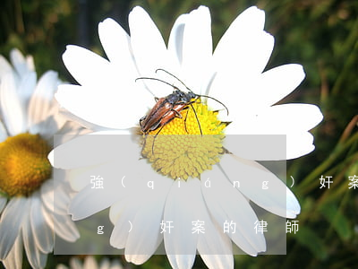 強(qiáng)奸案的律師(強(qiáng)奸案的律師)