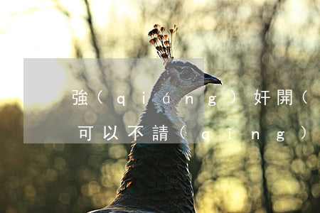 強(qiáng)奸開(kāi)庭被害人可以不請(qǐng)律師嗎(強(qiáng)奸開(kāi)庭被害人可以不請(qǐng)律師嗎)