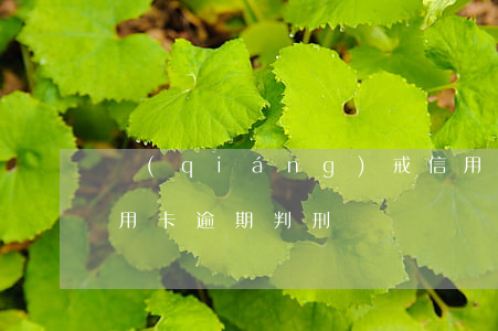 強(qiáng)戒信用卡逾期會加刑嗎(信用卡逾期判刑嗎)