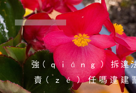 強(qiáng)拆違法建筑可以追究刑事責(zé)任嗎(違建罰款后算合法了嗎,還要強(qiáng)拆嗎?)