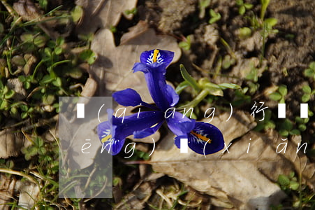強(qiáng)行給員工放假法律風(fēng)險(xiǎn)解析