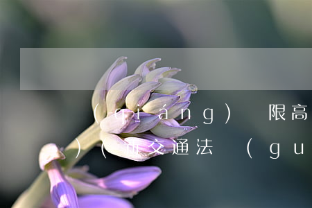 強(qiáng)闖限高法律法規(guī)(新交通法規(guī)中超過(guò)限高如何處罰)