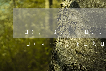 強(qiáng)險(xiǎn)逾期不交會(huì)怎樣（交強(qiáng)險(xiǎn)逾期補(bǔ)交）