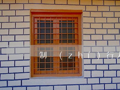 強制執(zhí)行人跑了是否拘留