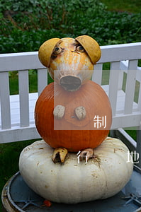 強制執(zhí)行其實很難執(zhí)行(異地強制執(zhí)行其實很難執(zhí)行)