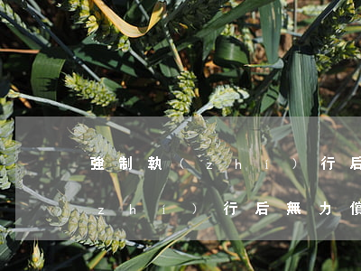 強制執(zhí)行后仍無力償還(強制執(zhí)行后無力償還怎么辦)