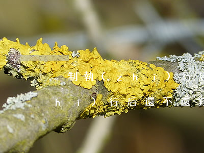強制執(zhí)行后還不還錢(強制執(zhí)行后還不還錢可以判刑嗎)