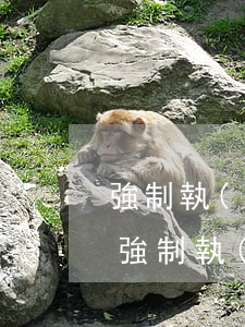強制執(zhí)行和訴訟可以同時進行嗎(強制執(zhí)行只能在一審法院嗎)
