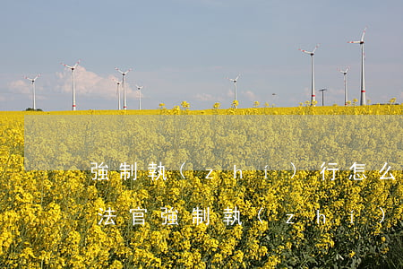 強制執(zhí)行怎么聯(lián)系法官(強制執(zhí)行有執(zhí)行官電話嗎)