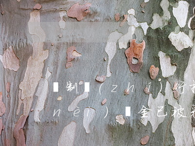 強制執(zhí)行措施(您的微信零錢內(nèi)資金已被采取強制執(zhí)行措施)