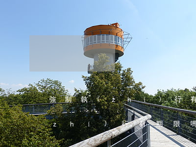 強制執(zhí)行有期限嗎(申請強制執(zhí)行有期限嗎)