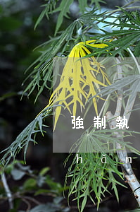 強制執(zhí)行法院可以查到房產(chǎn)嗎(法院強制執(zhí)行如何查被執(zhí)行人財產(chǎn)情況?)
