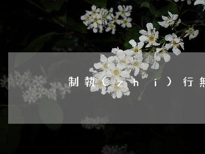 強制執(zhí)行無力償還凍結多久解封