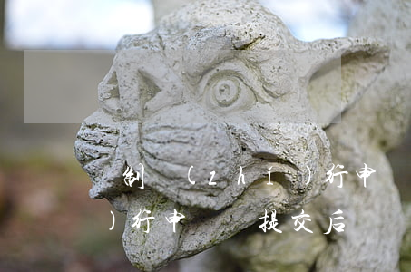 強制執(zhí)行申請書(強制執(zhí)行申請書提交后)