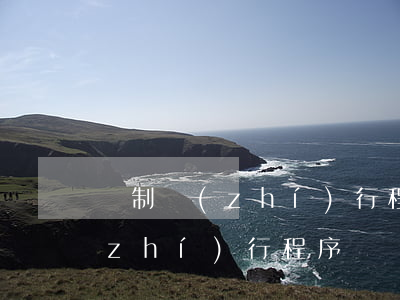 強制執(zhí)行程序(重新啟動強制執(zhí)行程序)