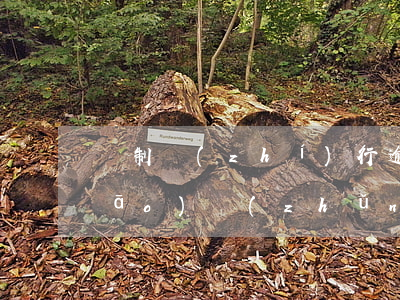 強制執(zhí)行逾期利息計算標(biāo)準(zhǔn)（法院執(zhí)行逾期利息的計算方法）