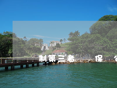 強制第三者險讓保險公司犯難的原因