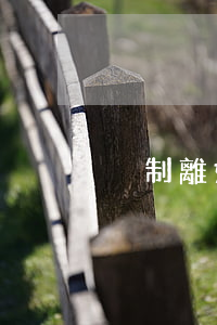 強制離婚的條件