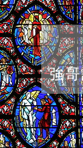 強哥說交通事故(強哥說交通事故)