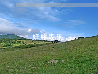 強奸罪幾年