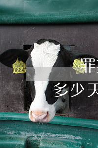 強姦罪拘留所拘留多少天(強奸罪拘留所拘留多少天)