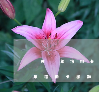 強戒兩年信用卡逾期兩年征信壞了-強戒兩年信用卡逾期兩年征信壞了有影響嗎