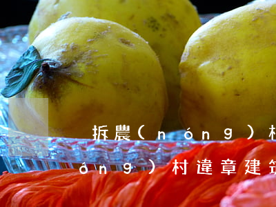 強拆農(nóng)村房子法定程序(農(nóng)村違章建筑強拆的法律程序)