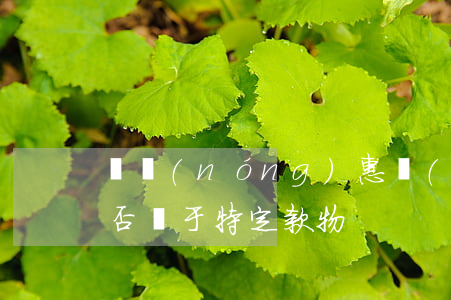 “強農(nóng)惠農(nóng)資金”是否屬于特定款物