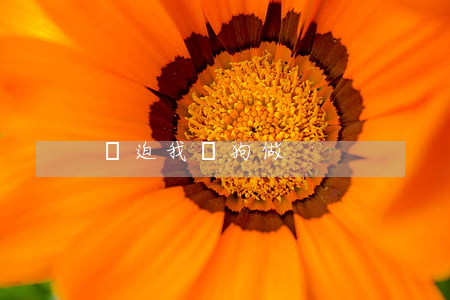強迫我與狗做
