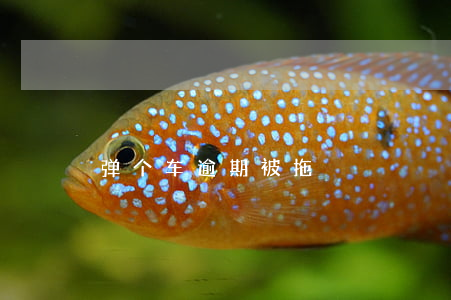 弹个车逾期被拖