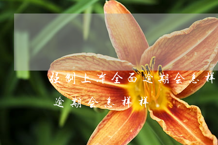 强制上岸全面逾期会怎样样-强制上岸全面逾期会怎样样